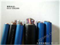 RS-485 電纜 天津電纜集團(tuán)RS485通信設(shè)備電纜