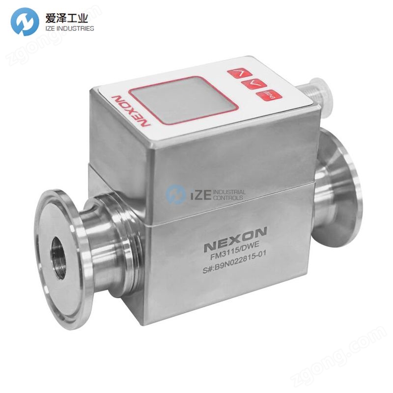 NEXON流量計(jì)FMI300GM10XX01