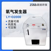 LY-O2000氧气发生器