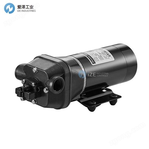 PONYTE隔膜泵DP-100B