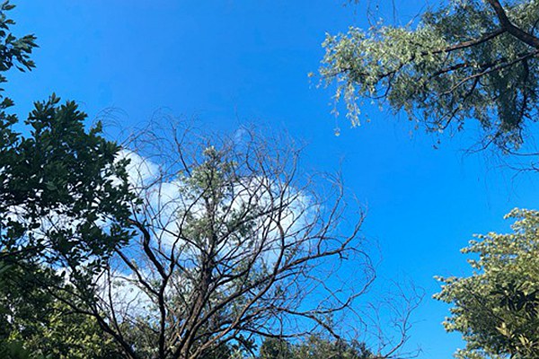 《“人工智能＋制造”專項行動實施意見》印發(fā)